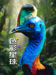 色彩星球配音版综艺海报