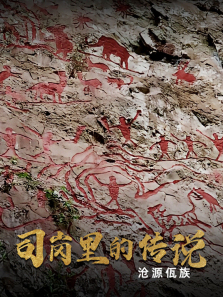 ˾����Ĵ�˵��Դ��������ȫ��