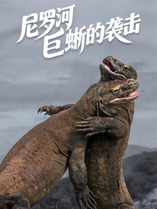 ���޺Ӿ����Ϯ������ȫ��