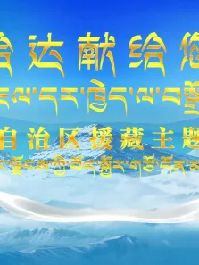 西藏自治区援藏主题晚会综艺海报