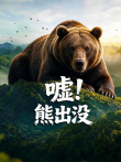 嘘熊出没综艺海报