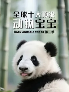 全球十大顶级动物宝宝 第2季综艺海报