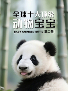 ȫ��ʮ�󶥼����ﱦ����2������ȫ��