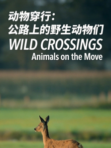 ���ﴩ������ȫ��