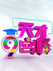 天才九宫格综艺海报