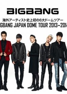 BIGBANG 2013-2014 ձ޵Ѳʵ¼