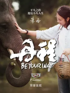 丹程综艺海报