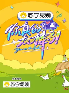 你真的太棒了综艺海报