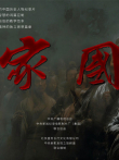 家国综艺海报