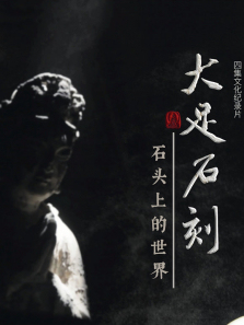 ����ʯ��ʯͷ�ϵ���������ȫ��