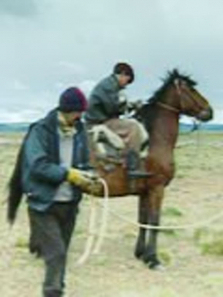 �쾡ͷ-��������������ȫ��