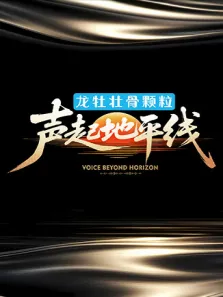 声起地平线综艺海报