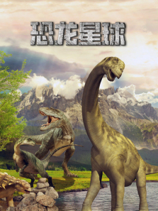 �����������İ�����ȫ��