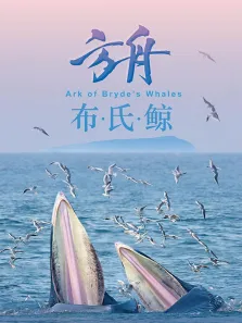 方舟-布氏鲸综艺海报