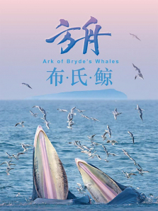 ����-���Ͼ�����ȫ��