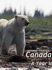 ���ô��Ұ��������ȫ��