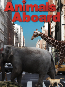 动物旅行日记综艺海报