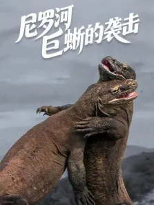 尼罗河巨蜥的袭击 中文版综艺海报