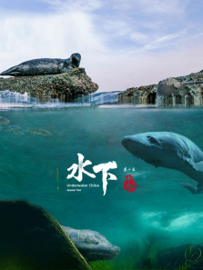 ˮ���й���2������ȫ��