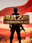 用武之地:中国维和部队在海外综艺海报