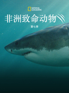 �������������7������ȫ��