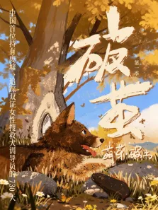 破茧综艺海报