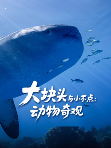 大块头与小不点:动物奇观-配音版综艺海报