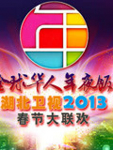 ��������2013����