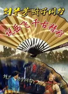 刘兰芳母子同台说岳飞千古精彩2013综艺海报