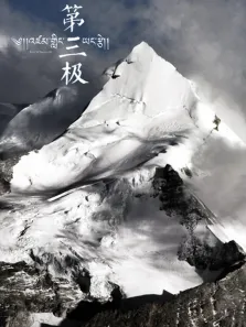 第三极综艺海报