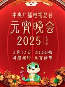 2025㲥̨Ԫȫ