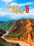 中国的世界遗产·西北篇综艺海报