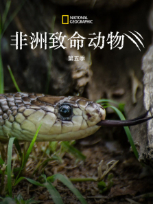 �������������5������ȫ��