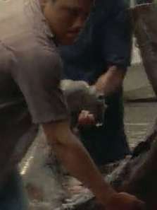 Σ��������������