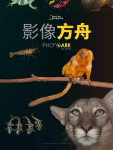 Ӱ���۵�2������ȫ��