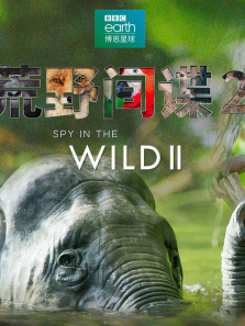 ��Ұ�����2������ȫ��