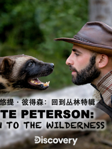 ������˵�ɭ�ط���Ұ����ȫ��