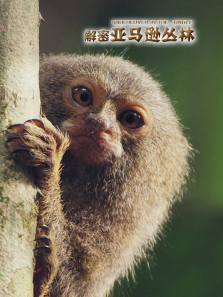 ��������ѷ��������������ȫ��