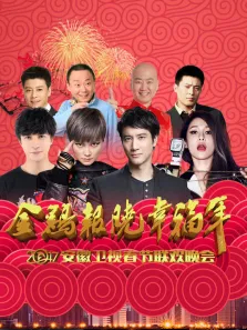 2017安徽卫视春晚综艺海报
