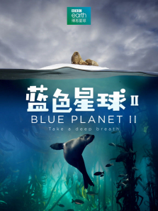 ��ɫ���� ��2�� Ӣ�İ�