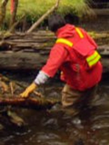 ���������ػʺ�����ȫ��