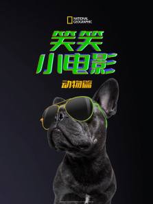 ЦЦС��Ӱ:����ƪ