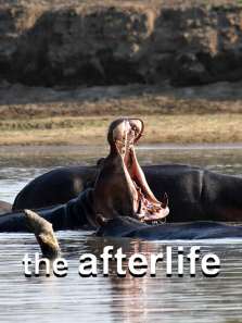 ��������-����Ȼ��ʢ������ȫ��