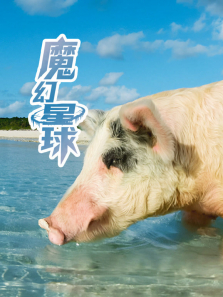 魔幻星球配音版综艺海报
