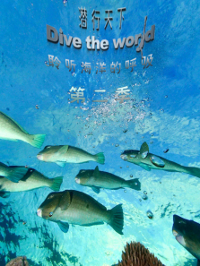 Ǳ�����µ�2������ȫ��