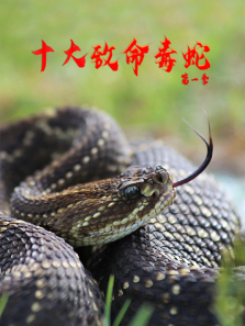 ʮ���������ߵ�1������ȫ��