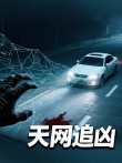 天网追凶综艺海报
