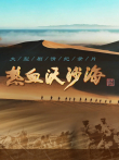 热血沃沙海综艺海报