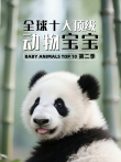全球十大顶级动物宝宝 第2季 英文版综艺海报