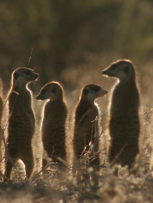 ���Bׯ԰��3������ȫ��